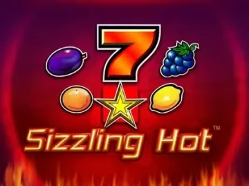 Wild Fortune Casino screenshot